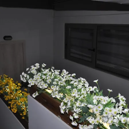 Mirma Halepa Superior Studio Chania  Exterior photo